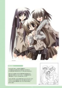 BUY NEW tori koro - 175185 Premium Anime Print Poster